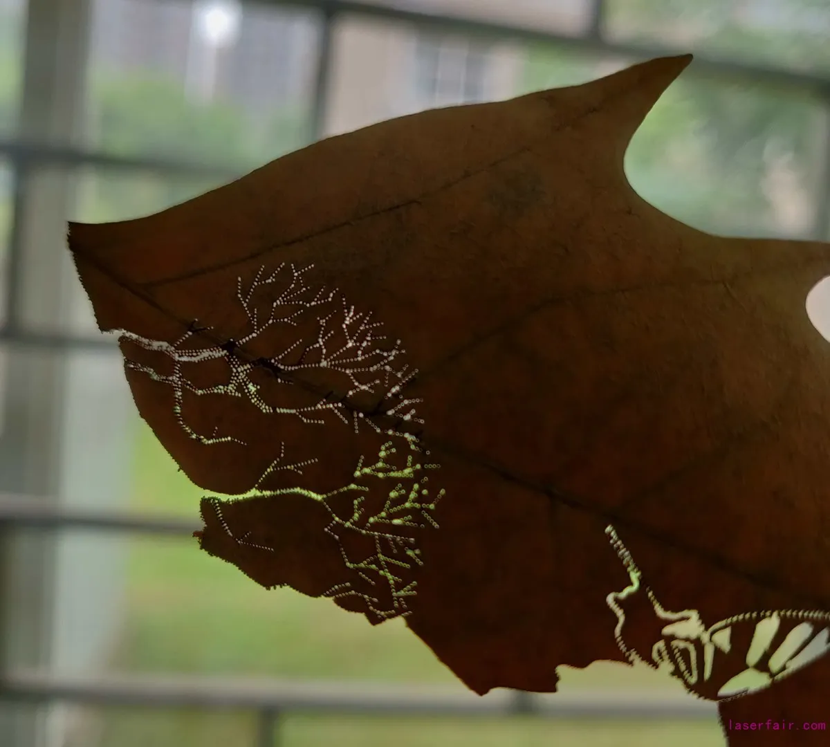 ¿Qué pueden hacer las máquinas láser de fibra?